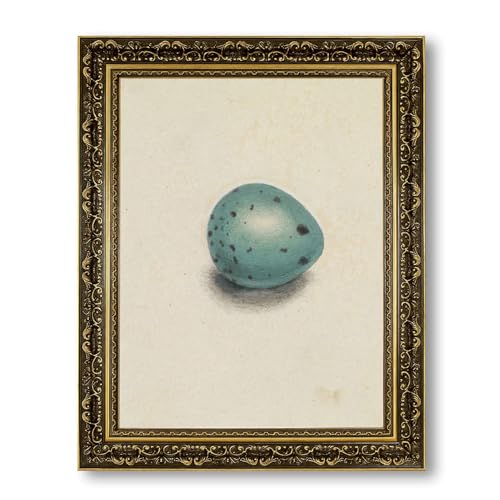 Vintage Framed Bird Egg Canvas Print Oil Paintings Reproduction World