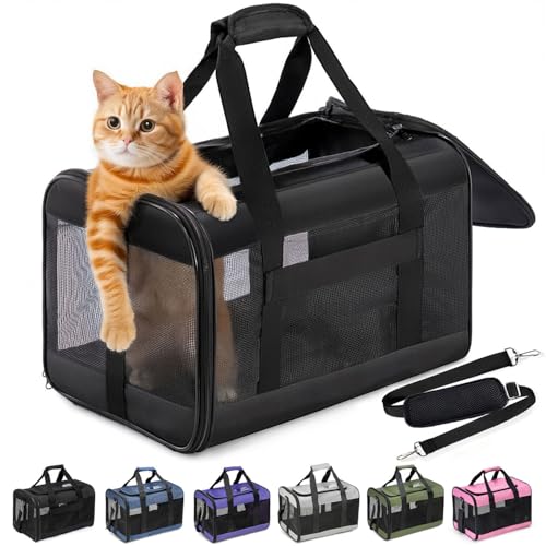 Conlun Katzenboxe Flugzeugtauglich, Weichseitige Hundetransportbox mit Innenleine, Transport für kleine bis mittelgroße Katzen und Welpen bis 7 kg,...