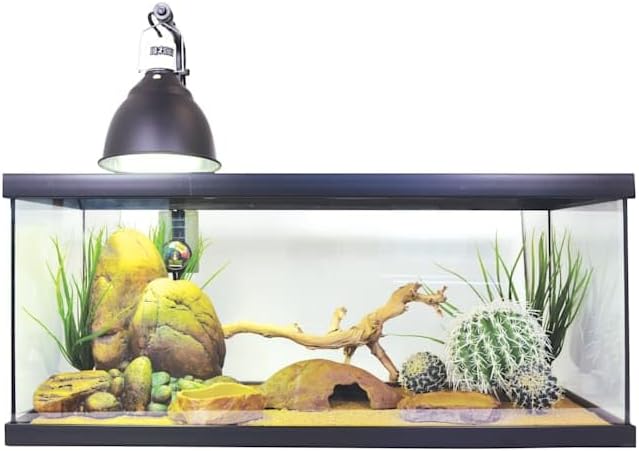 Exo Terra Bearded Dragon Starter Kit