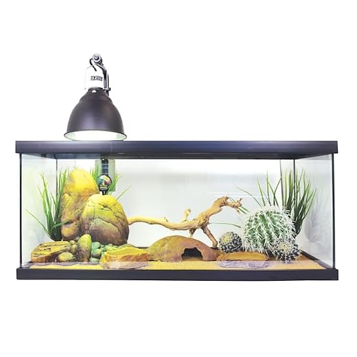 Exo Terra Bearded Dragon Starter Kit