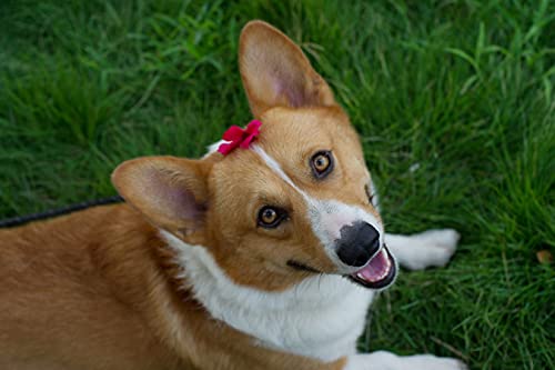 Mumiko 2Pcs Artificial Geraniums Silk Flowers Outdoor Uv Resistant Garden Plants Bush (Deeppink) … #TOP6