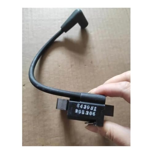 Bobine d'allumage pour moteur BS 21HP 23HP pièce 843931