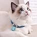 Fydun Collare per Gatti in Stile Giapponese per Animali Domestici Collana Regolabile per Animali Domestici Collare per Gatti con Campana per Gatti con Catena di Estensione(C)