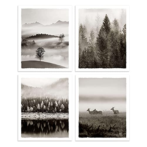 Nature Landscape Pictures Wall Art