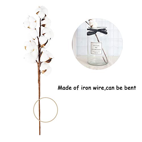 Panxxsen 4 Pcs 21 Inch Cotton Stems,10 Balls Natural White Cotton Artificial Cotton Branch,Farmhouse Style Cotton Floral Picks for Home Wedding Decoration