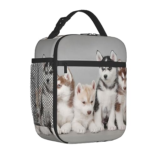 Ahdyr Fiambrera para mujeres, hombres, adultos, trabajo, picnic, senderismo, playa, resistente al agua, organizador de almuerzo, soporte portátil para almuerzo, organización rápida y sencilla