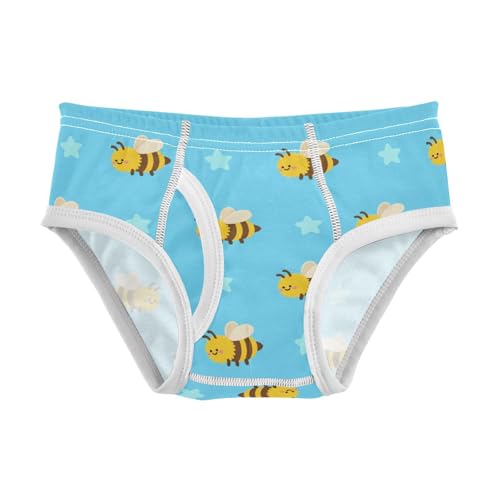 Cute Bee Star Blue Toddler Boy's Underwear 2T 2302232