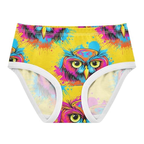 Joisal Cartoon Doodle Owl Cool Girl Panties Cute Girls Underwear Toddlers Cotton Funny Underpants Briefs 2t