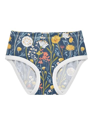 ZZKKO Countryside Wildflowers Girls Underwear Toddler Panties for Girls Comfort Brief Size 2T