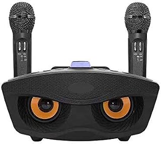 Karaoke Machine, RUBEHOOW Portable PA Speaker System With 2 Wireless Microphone for Home Party, Meeting, Wedding, Church, Picnic, Outdoor/Indoor (Black)