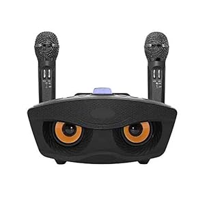 Karaokemachine, RUBEHOOW draagbaar PA-luidsprekersysteem met 2 draadloze microfoon voor thuisfeest, vergadering…