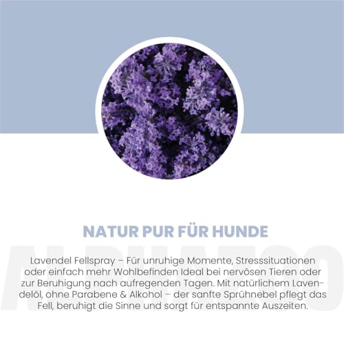 alphazoo Lavellness Fellspray für Hunde 250 ml – mit Lavendelöl, Aloe Vera, Jojobaöl & Sheabutter. Pflegt Fell & Haut, verleiht Glanz & Geschmeidigkeit. Sanfte Fellpflege für leichte Kämmbarkeit.