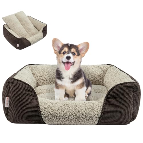 Miguel Cama Lavable para Perros con cojín extraíble para Perros medianos y pequeños, fácil de Lavar Mascota sofá Cama con Lateral, rectángulo Bolster Cama para Gatos Calmante Puppy Bed, Marrón 51cm