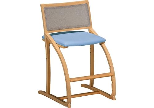 JN fXN`FA wK`FA NVF wK֎q XT2401 karimoku LbY`FA Y {  qǂl܂ T|[g`FA NVF v Jt uE F F F h ɂ |₷ 