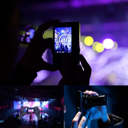 Image of Panasonic LUMIX ZS300 Compact 4K Digital Camera, 15x Zoom Travel Camera Point and Shoot (24-360mm), Small Zoom Camera for Concerts & Sports, DC-ZS300S | 15x Zoom Travel Point, Shoot (24-360mm), DC-ZS300S, While the built in flash and sensor enhance images in dim