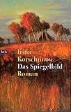 Das Spiegelbild: Roman - Irina Korschunow