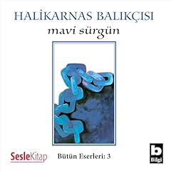 Couverture de Mavi S&uuml;rg&uuml;n