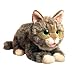 Cuddle Barn Lil Bub Adorable Kitten Cat Plush Toy, CB8240