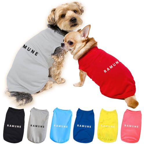    SPIRAL-style ꃁbV^N Vv 3XL TN ^ ^ ^ ~ t    ₷  킢 uh Z[ U