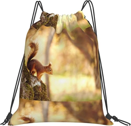 [ESASAV] 킢X В X|[cW TbNK r[` j VbsO s e @\ jp