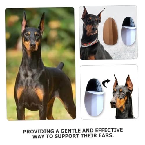 KOCKSHION ybgp⏕V[ ϋv~NJVEfލ̗p Čpe[v ăT|[gc[ ȒP\t 