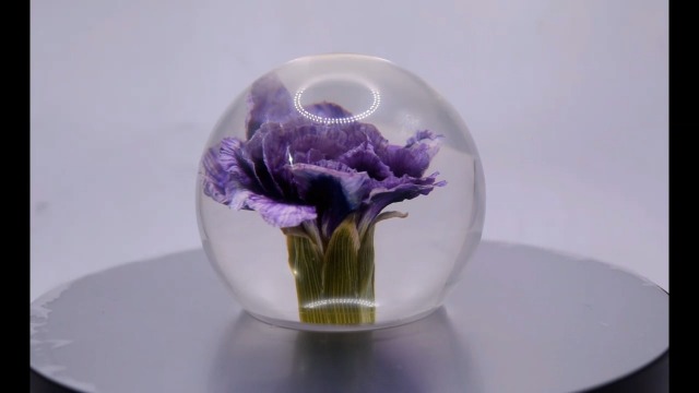 Image of 60mm Real Purple Carnation in Crystal Clear Lucite Resin Ball January Birth Month Flower Anniversary Wedding Engagement Valentine Mother's Day Gift Botanist Herb Paperweight Display Decor Collection