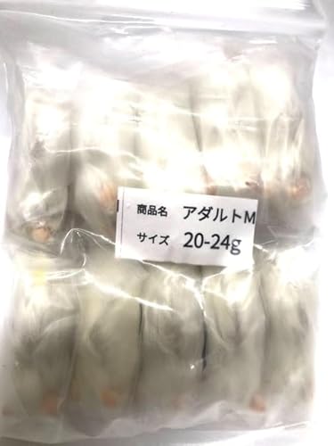 冷凍アダルトマウス（M） 8cm 10匹入【クール便代込み】