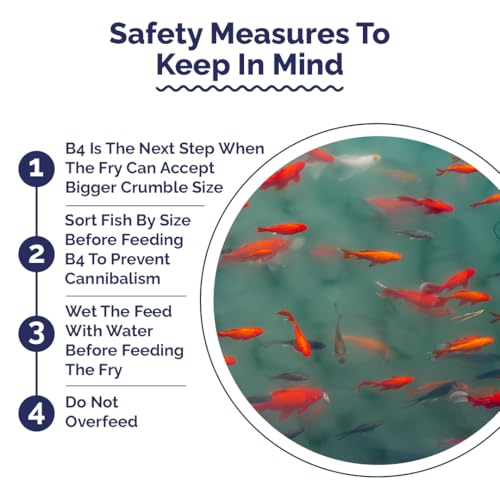 Image of Intan Breeder & Grower Food - B4 (0.6-0.8mm Slow Sinking Crumble) | 1Kg - Highly Nutritious Ornamental Fish Food for A Range of Feed from Fry to Grow Out Stage for Viviparous & Oviparous Fish