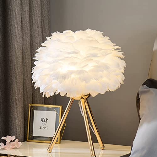 Image of shengyi Feather Table Lamp, Crystal Heart Shape Modern Romantic Bedroom Bedside Lamp, for Living Room, Bedroom, Bar, Restaurant, Wedding, Home Decor,White