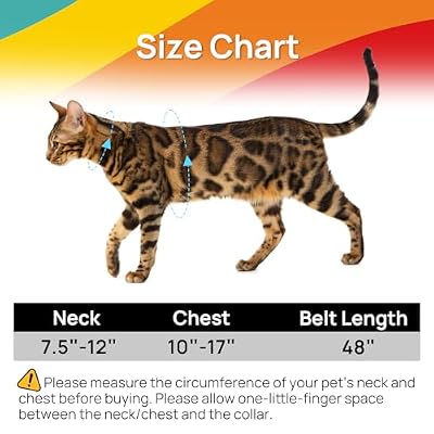 Cat Harness and Leash Set - Escape Proof Adjustable Cat Harness, Comfortable Soft Lightweight, Use Safe & Easy, Walking Travel Kitten Harness for Small Medium Large Cats (Yellow & Green)