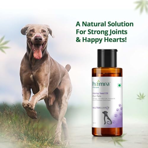 Image of Hampa Hemp Seed Oil for Pets-50 ml | Wholesome Nutrition for pet Dog, Cat | Rich in Omega 3, 6 & Antioxidants | Maintains Healthy Skin & Boost Immunity | Helps in Pain Relief, Stress Calming, Anxiety