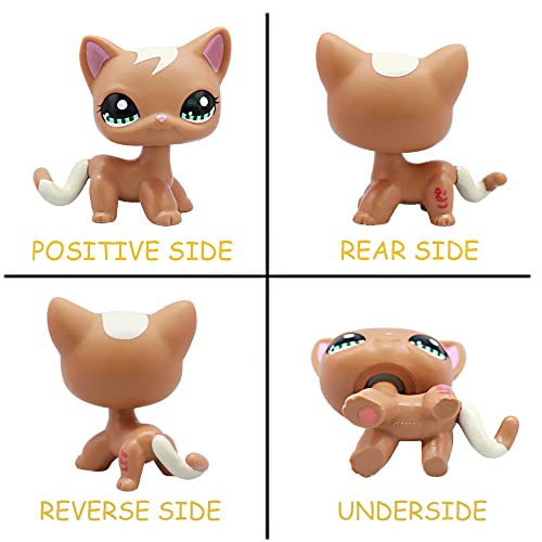MINITOY-Pet-Shop-lps-Shorthair-Cat-1170-Brown-Body-Blue-Eyes-with-LP-Accessories-Collier-ordinateur-portable-boucles-doreilles-Rare-Toy-Figure-Collectable-Boys-Girls-Kids-Gift-Set