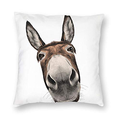 Our Best Bedding For Donkeys