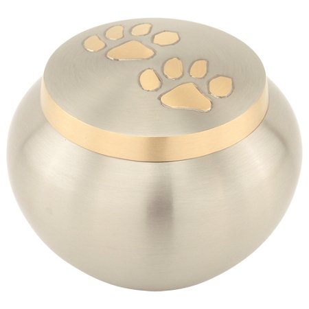 Paw Print Round Pet Cremation Urn for Ashes in Pewter - Medium, Brass, Silver - Dog & Cat Urn - 4 Inches High