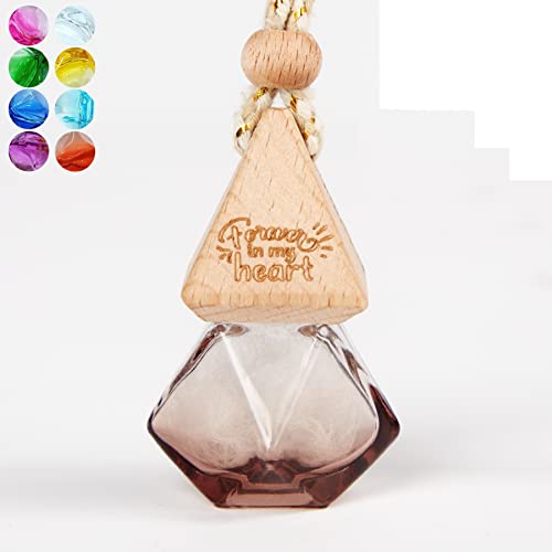Pet Personalized Memorial Bottle Dog Hair Clear Glass Bottle Customizable Wooden Cover Loss of Cat Remembrance Pet Passing Away Fur or Ashes Glass Vial with Rope Sympathy Keepsake Gift
