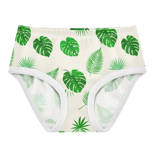 Summer Plant Toddler Girls's Underwear 2T 2302902