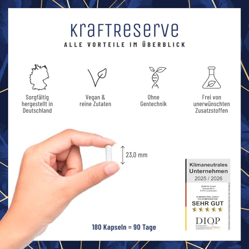 Magnesium Komplex hochdosiert - Komplex mit: Magnesiumcitrat, Bisglycinat, Magnesium Malat und Magnesiumoxid - Vegan - 180 Kapseln