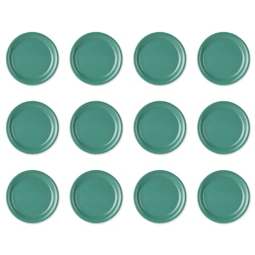 Thunder Group �����v���[�g ���a23.2cm 12���Z�b�g ��v�ȋƖ��p �����~���H�� ���M ��M �V���v�� ����ɂ��� �H��@�Ή� �O���[�� CR109GR-12S