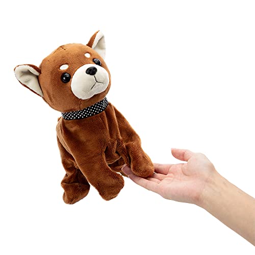 Coco Sakadachishite Premium Chihuahua