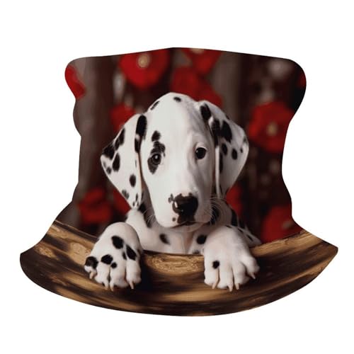 Neck Gaiter Face Mask Men Women, Lovely Hedgehog Face Mask Scart Cover for Dust Wind Sun Protection