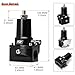 PQY Adjustable Fuel Pressure Regulator Kit 30-140PSI With 10AN Return and 10AN feed Port with AN6 AN8 AN10 Connectors and Gauge (black)