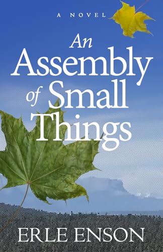 An Assembly of Small Things