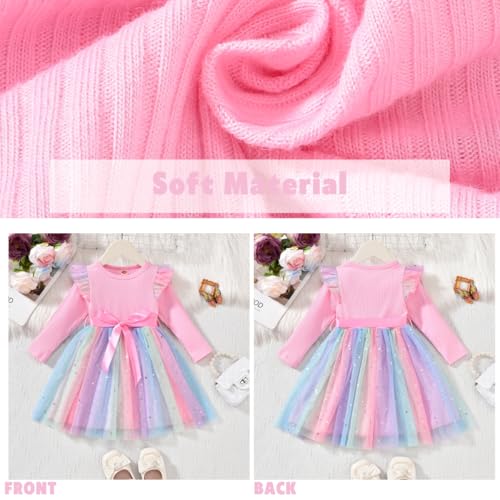 Toddler Girl Long Sleeve Tulle Dress 1-5 Years4