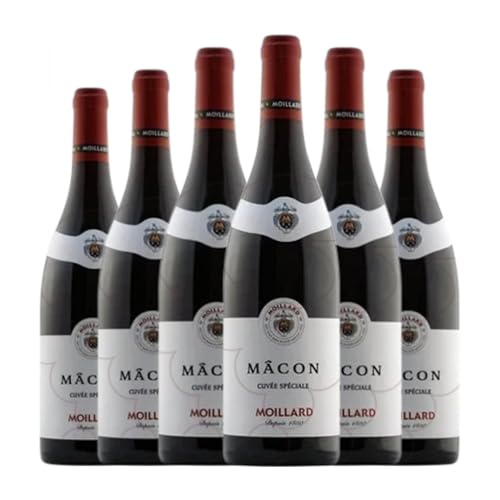 Moillard Grivot Naurouze Pinot Negro: Caja de 6 Botellas de Vino Tinto Mâcon Joven 75 cl Moillard Grivot Naurouze Pinot Negro: Caja de 6 Botellas de Vino Tinto Mâcon Joven 75 cl