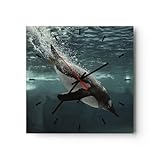 Moderno Reloj de Pared Buceo Pingüino Glaciar 30x30cm Decoracion Reloj de Vidrio Cocina Salon Oficina Comedor Reloj Decorativo Silencioso Art Wall Clock Decor Decorativo Para el Hogar C3AC30x30-4189