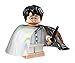 LEGO Harry Potter Series - Harry Potter with Invisibility Cloak - 71022