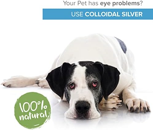 Institut Katharos Augentropfen für Hund & Katze - 100% natürliche Augenpflege - Bessere Wirkung als Augensalbe - Entzünd