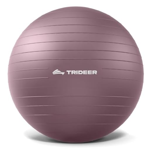 Trideer Yoga Ball for Office and Labor