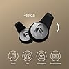 Dynamic Ear Filter -20dB Reusable Premium Hearing Protection for Concerts, Festivals, Motorcycling and Events - Comfortable for Children and Adults - 4 Sizes Earplugs, Case and Cord - Dutch Product #2