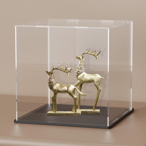 Image of Premium Acrylic Display Box with Black Base | Transparent Dust-Resistant Cube for Toys, Models & Memorabilia (6x6x6 inch)